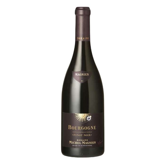 Domaine Michel Magnien Bourgogne Cote D'or Rouge